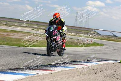 media/Mar-23-2025-TrackDaz (Sun) [[88a7749186]]/B Group/1220pm (Wheelie Bump)/